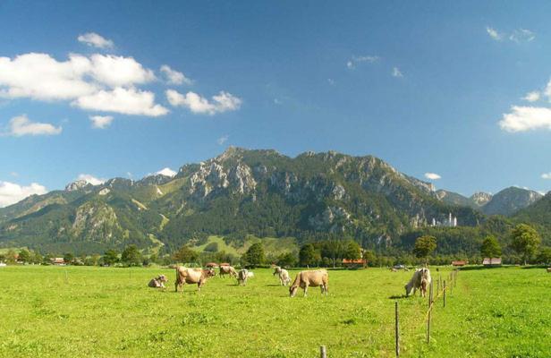 Jaegerhof Und Jaegerstadel Schwangau Luaran gambar